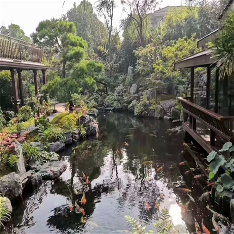 大竹假山植物小鱼池